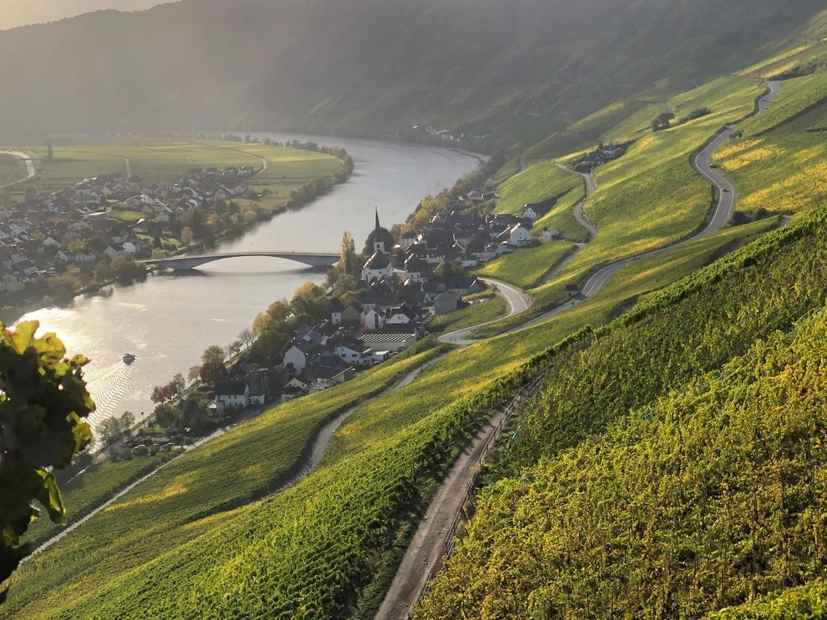 Weingut Lehnert-Spaeter Piesport Exterior foto